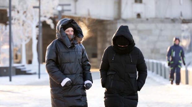 Когда москвичам ждать первые 20-градусные морозы, рассказал синоптик