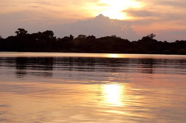 Amazonas23 Amazonas23 Большое фотопутешествие по лесам Амазонки