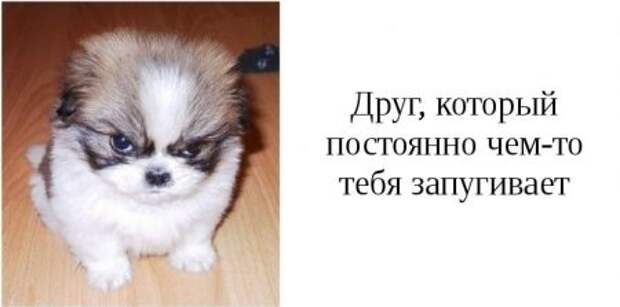 Такие друзья, есть у каждого из вас.