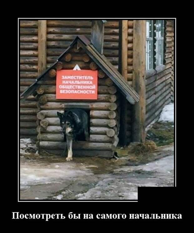 Демотиваторы (30 фото)