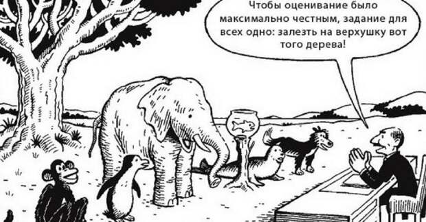 образование в россии