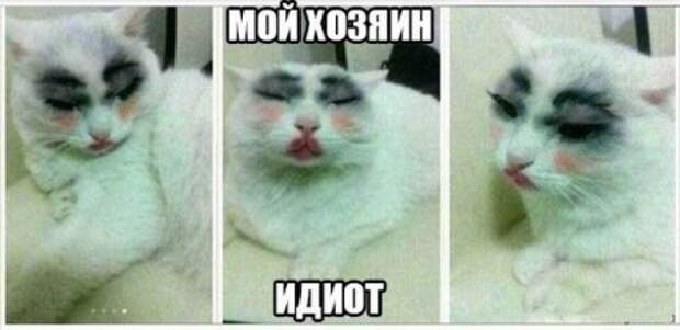 Картинки прикольные, дождались.