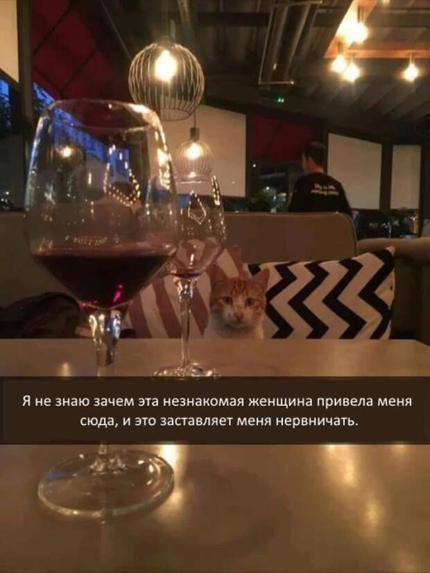 Прикольные картинки абавсём:D