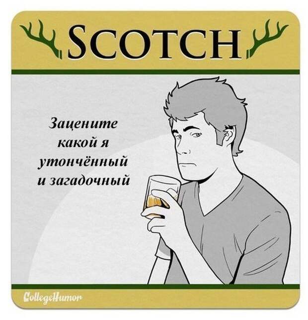 Кто, как, что и почему пьет.