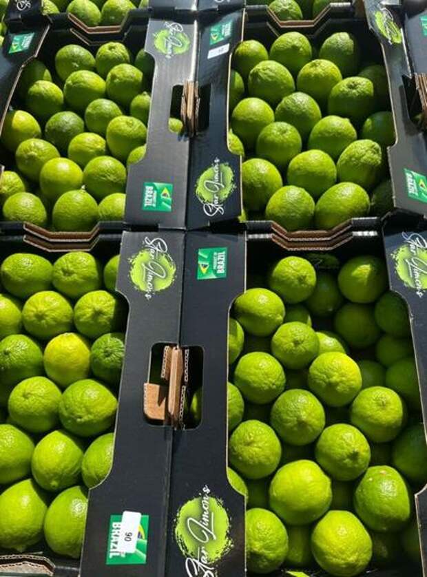 Импорт цитрусовых через Петербург вырос на треть