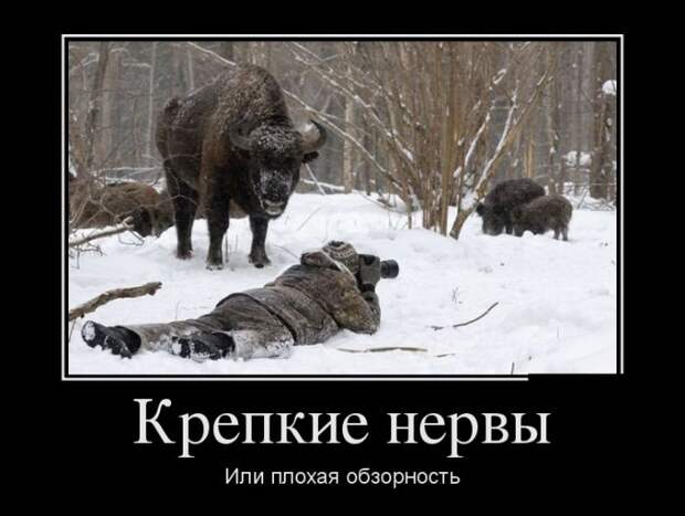 Подборка веселых демотиваторов для настроения (11 фото) Подборка веселых демотиваторов для настроения (11 фото)