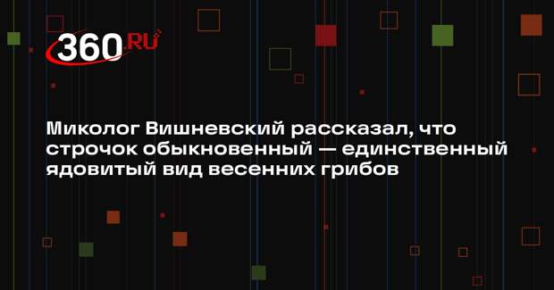 Миколог Вишневский рассказал, что строчок обыкновенный — единственный ядовитый вид весенних грибов