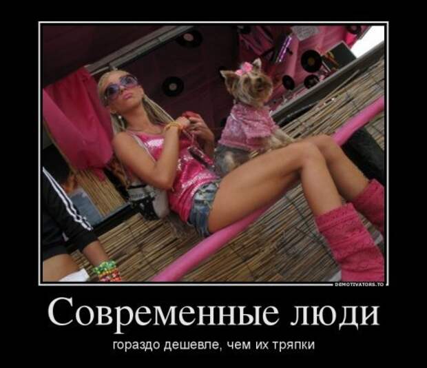Новые прикольные демотиваторы