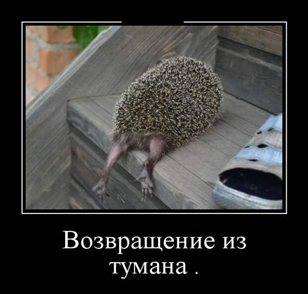 Демотиваторы (30 фото)