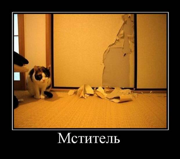 Сборник демотивационных приколов Сборник демотивационных приколов