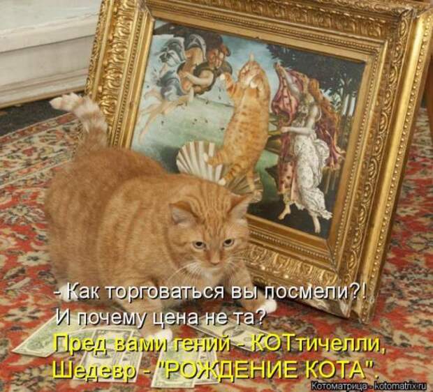 Котоматрицы (картинки с надписями)