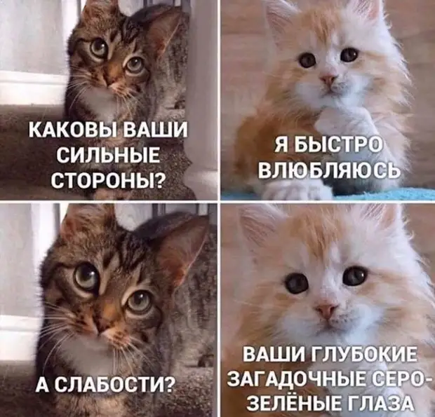 - Это будет трудная ночь... не все доживут до рассвета... - Люся! Закрой холодильник! Эти котлеты на завтра! только, начальник, тяжелых, воскресенье, отдыхает, работу, нахер, нужен, очень, спрашивает, позволяю, взяли, Блондинка, курить, понапрасну, берегу, здоровьеЧтобы, мужеНе, своем, нервничал