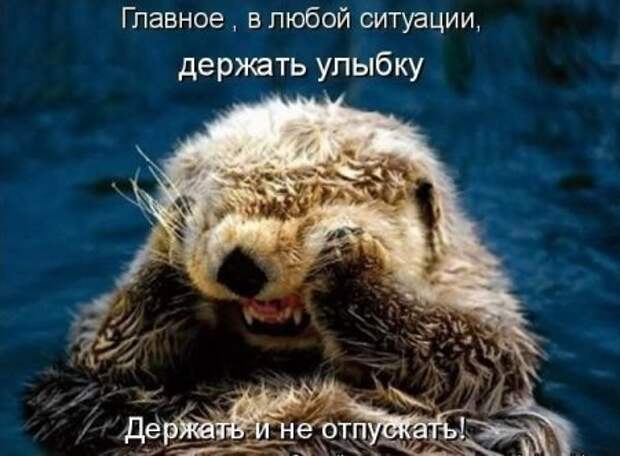 Приколы и приколихи.