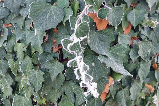 Зима вернется в центр России