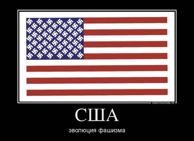 Американский журналист: США действуют, как фашистское государство Американский журналист: США действуют, как фашистское государство