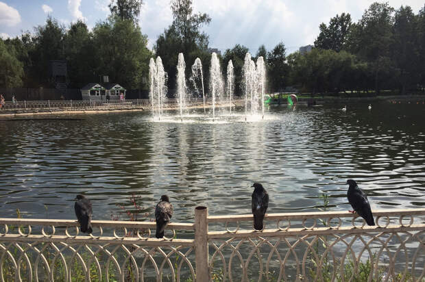 Фото и гифки непарадной Москвы