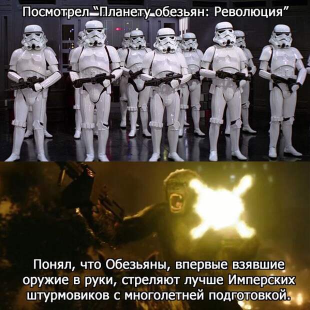 Смешные картинки с подписями  юмор, картинки, прикол