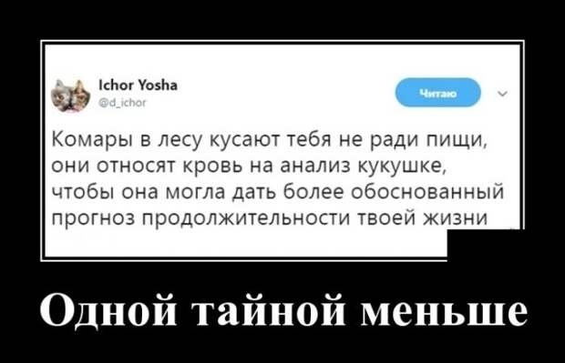 Демотиваторы