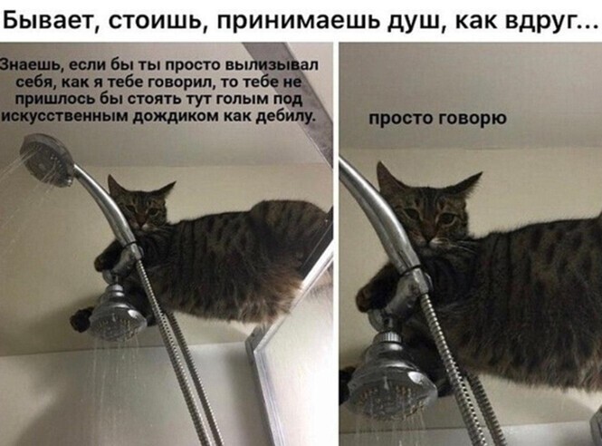 Подборка замечательных весёлых картинок