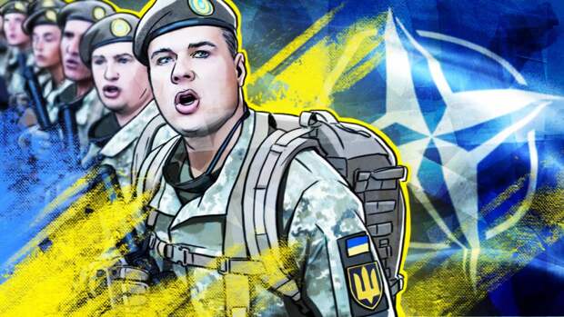 Министр обороны Венгрии Бенке обвинил Украину в «непозволительном» для НАТО поведении
