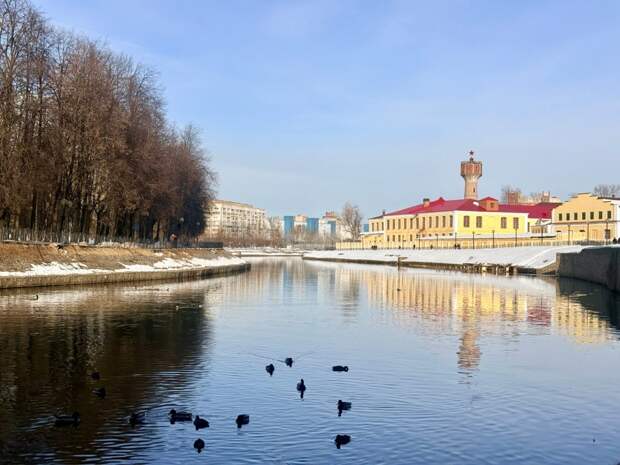 Тепло до +19 градусов придет в Ивановскую область 31 марта