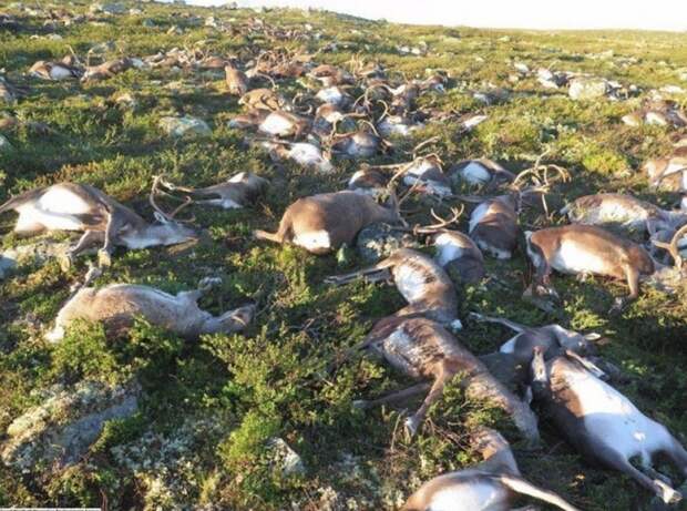 Все обо всем – 25 фактов, о которых знают не все