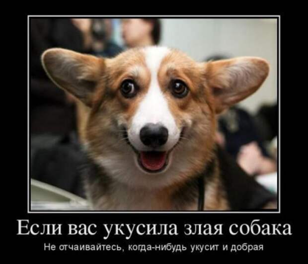 Демотиваторы