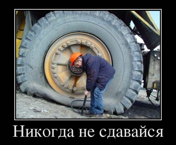 Никогда не сдавайся!