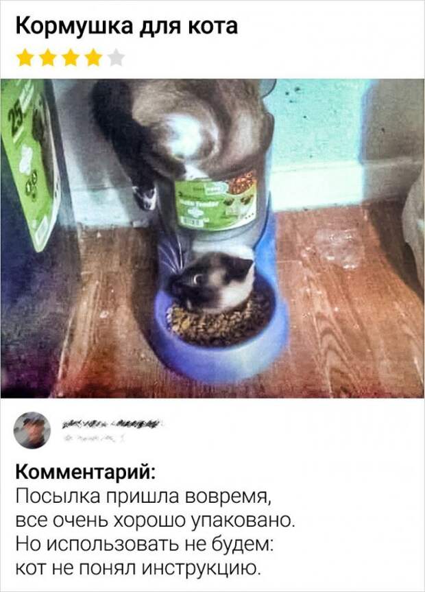 отзыв про кормушку для кота