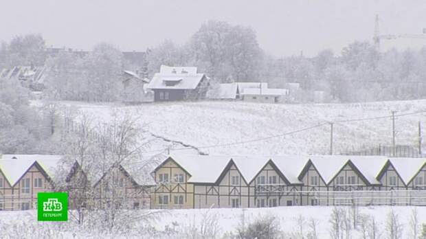 Обитатели Колтушей не хотят жить в городе