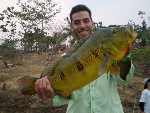 pavon1