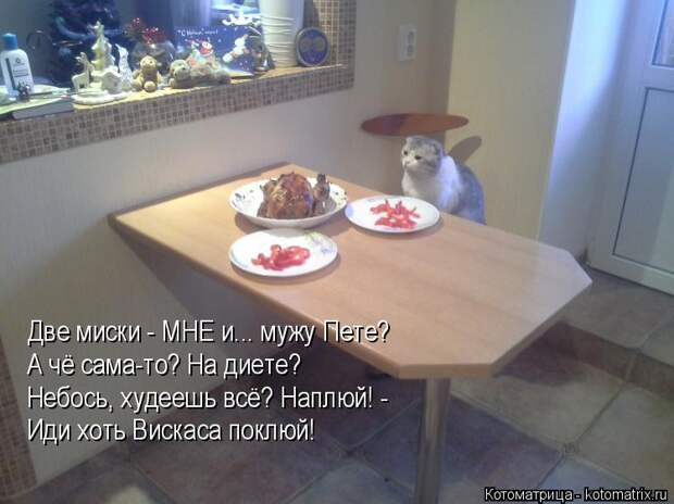 Котоматрица: Две миски - МНЕ и... мужу Пете? А чё сама-то? На диете? Небось, худеешь всё? Наплюй! - Иди хоть Вискаса поклюй!