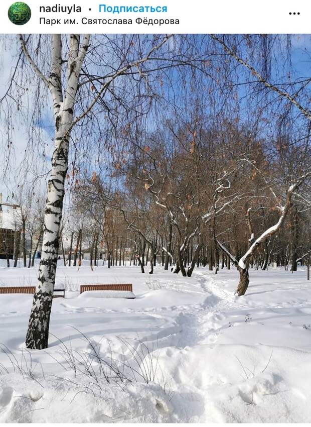 Фото дня: февральский парк имени Федорова