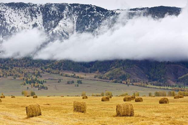 Фотографии с самыми красивыми видами Алтая