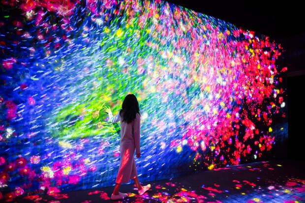 Экскурсия в музей цифрового искусства в Токио