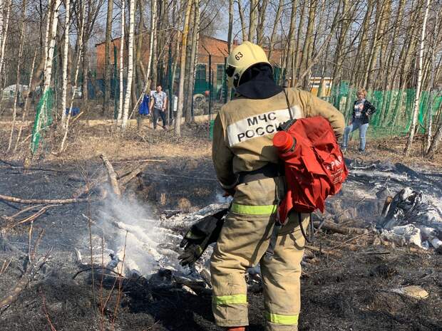 Пожарные потушили огонь, который дошел до вольера тверского медведя Мансура