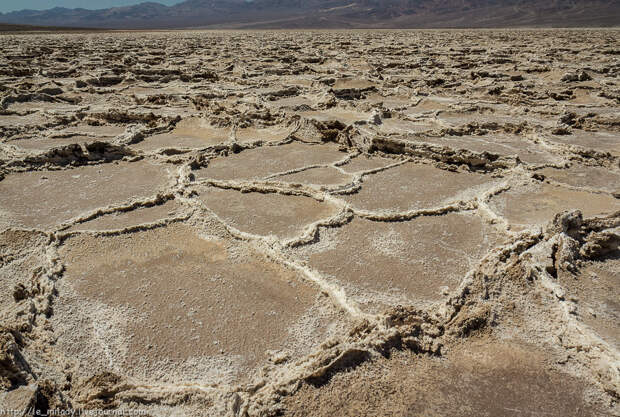 Salt Flat