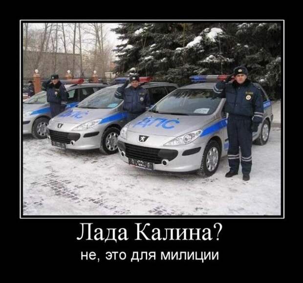 Свежие демотиваторы декабря Свежие демотиваторы декабря