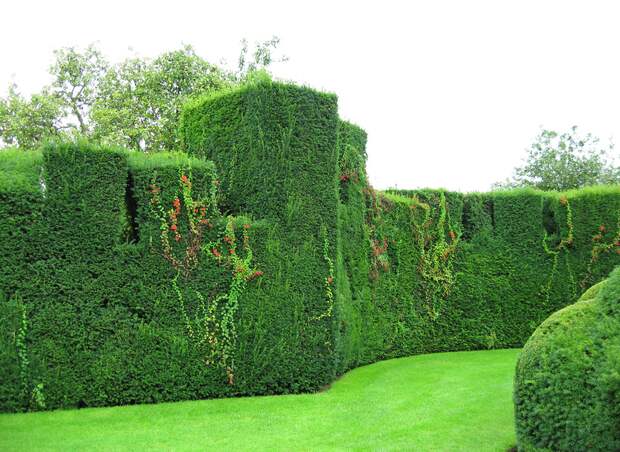 Сад Левенс Холл (35 фото)