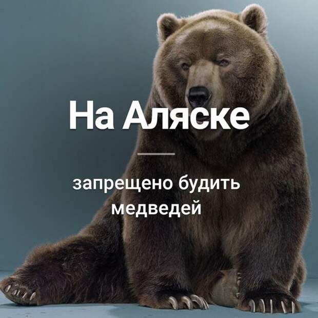 Факты забавные обо всем на свете