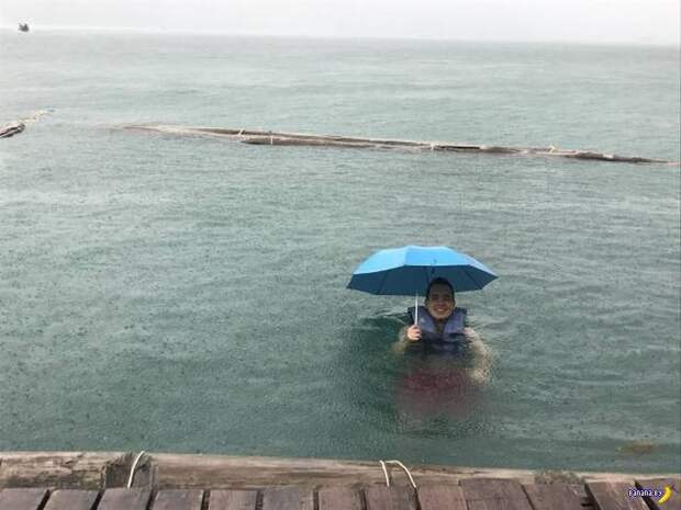 Прикольные картинки - 1899