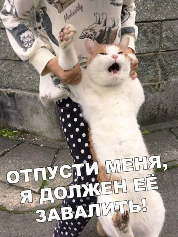 1576888240_kartinki-1.jpg