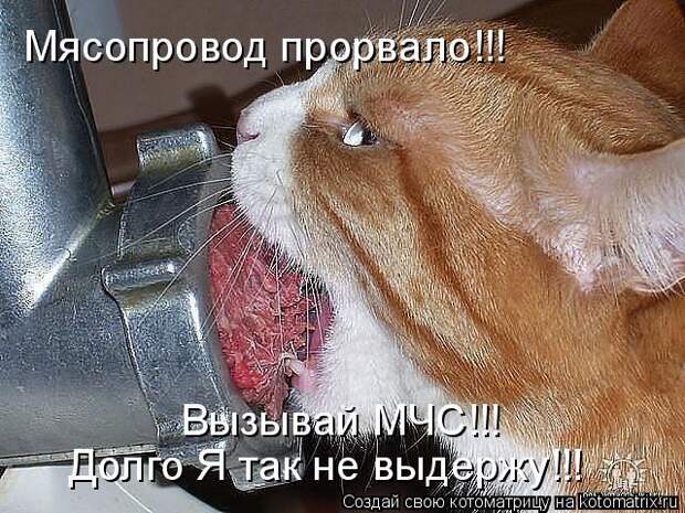 Котоматрица - Мясопровод прорвало!!! Вызывай МЧС!!!  Долго Я так не выдержу!!!