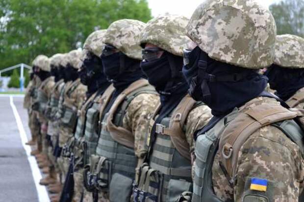 Разведка ДНР перехватила переговоры боевиков ВСУ и засняла уничтожение техники с карателями  (ФОТО, ВИДЕО) | Русская весна