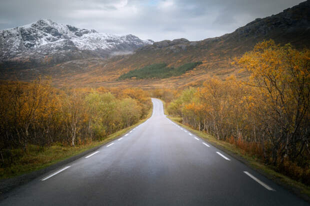 On the road - Lofoten Islands  by Fabrizio C. on 500px.com