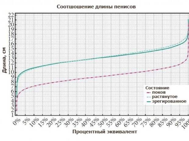 Средний размер члена у мужчин в россии