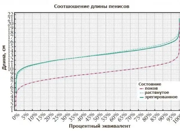 Длина графика. Размер эрегированного члена в 12 лет. Средние Размеры пениса 12 лет в эрегированном. Средняя длина пениса в 12 лет. Средний размер половового органа у мальчика 12 лет.