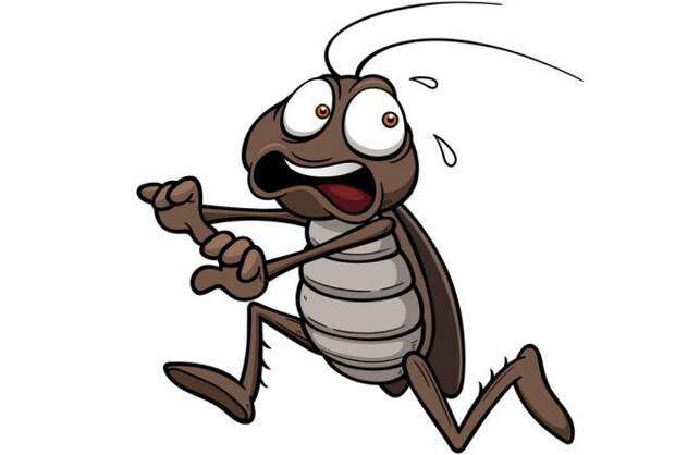 Почему в отечественных жилищах исчезли тараканы?