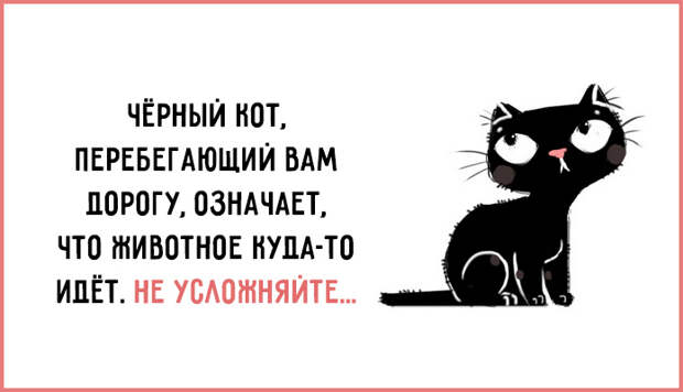 Совет дня