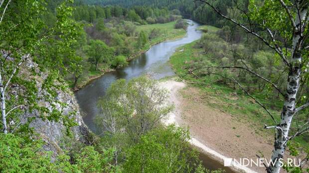 Часть природного парка «Оленьи ручьи» закрыта для посетителей из-за клещей